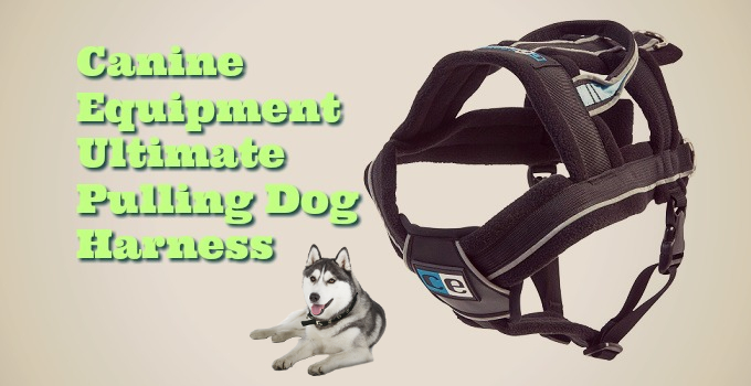 canine equipment ultimate pulling dog harness