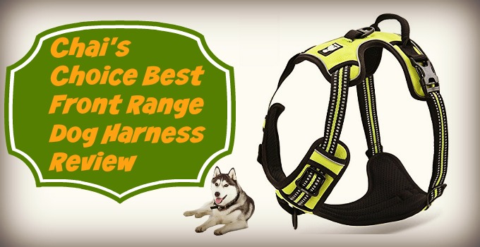 Chais-Choice-Best-Front-Range-Dog-Harness