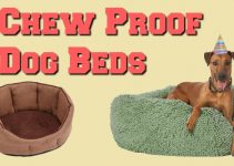 The Best Indestructible Chew Proof Dog Beds | Chew Resistant Tough Doggy Beds