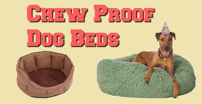 The Best Indestructible Chew Proof Dog Beds | Chew Resistant Tough Doggy Beds