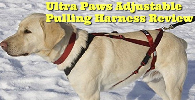 Ultra-Paws-Adjustable-Pulling-Harness