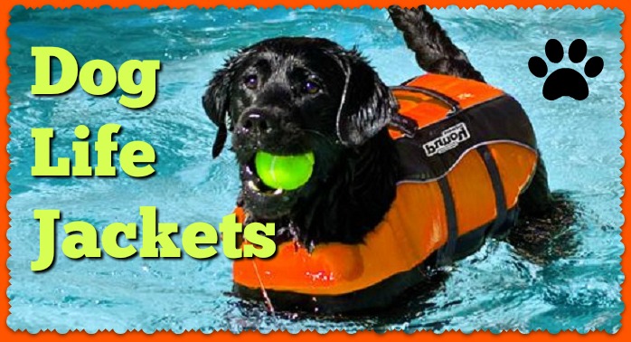 dog lifesaver jacket