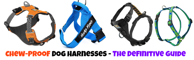 chew proof dog harness