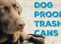 The Ultimate Dog Proof Kitchen Trash Can Guide | Locking Pet Proof Cans