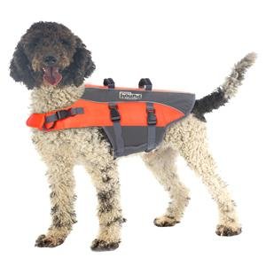 dog-wearing-outward-hound-life-vest