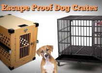 The Best Indestructible, Escape Proof & Heavy Duty Dog Crates in 2018