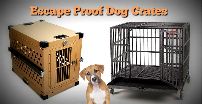 heavy duty escape proof dog crate