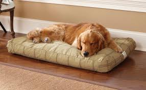 orvis-dog-bed