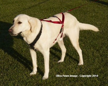  ultra-paws-dog-harness