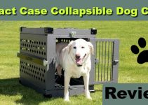 Impact Case Collapsible Dog Crate Review