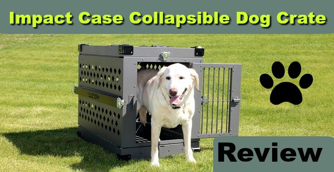 Impact Case Collapsible Dog Crate Review