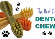 The Best Dental Chews For Dogs | Cleaning Chews, Oral Hygiene Treats
