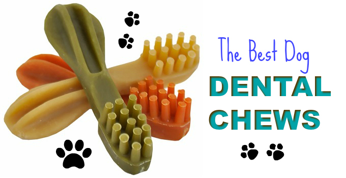 The Best Dental Chews For Dogs | Cleaning Chews, Oral Hygiene Treats