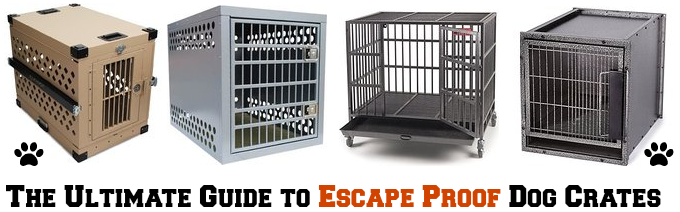 dog proof crate