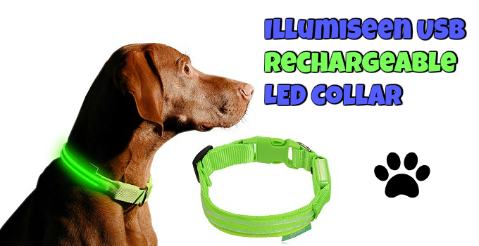 illumiseen-usb-rechargeable-dog-collar