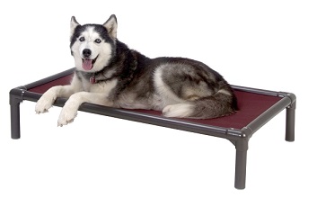 kuranda-walnut-pvc-dog-bed