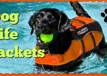 The Best Dog Life Jackets & Vests | Doggy Lifesavers by K9 & Outward Hound