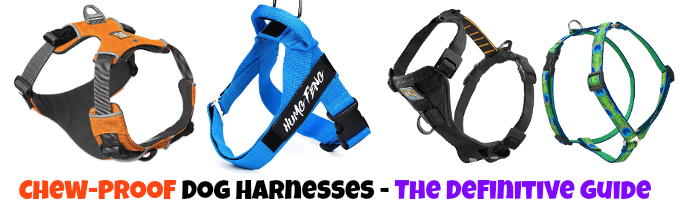 chewproof-harness-for-dogs