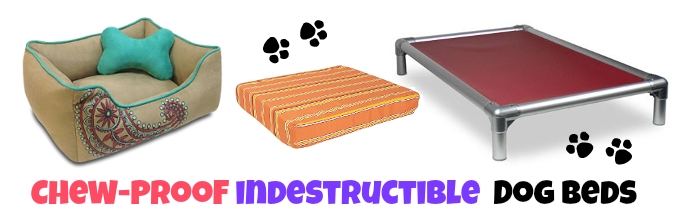 the-best-chew-proof-dog-beds