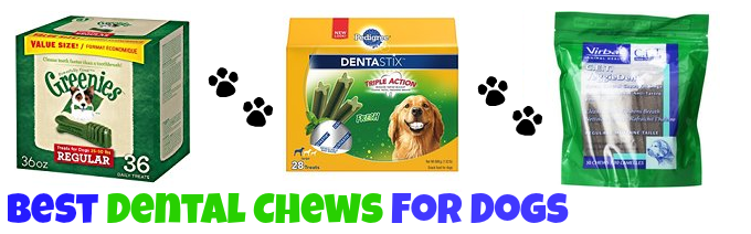 best-dental-dog-treats