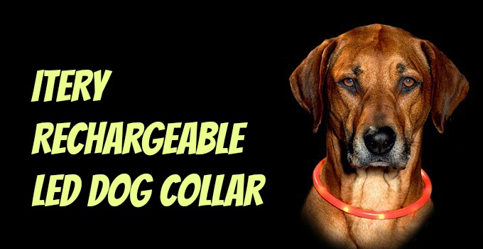 ITERY Rechargeable led dog collar